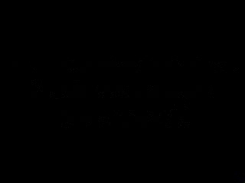 ROHFF INSULTE JEAN GABIN JOE DALTON ET BOB