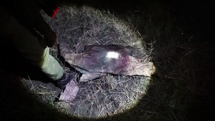 توقيف 28 صيادا في كينيا بفضل كاميرات حرارية ليلية