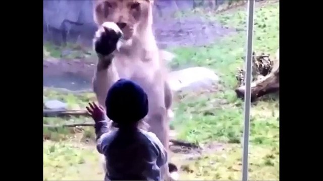 People are awesome win videos - Best awesome win video compilations - must watch