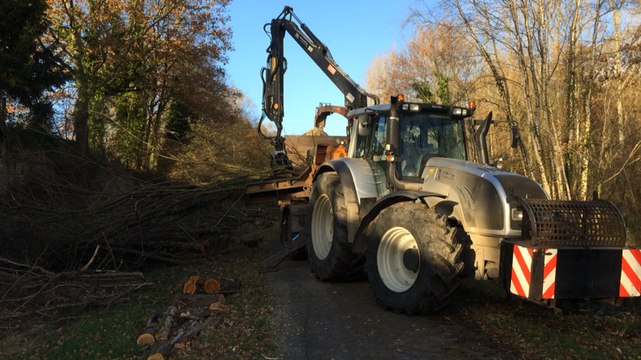 Broyage des arbres abattus sur la voie verte