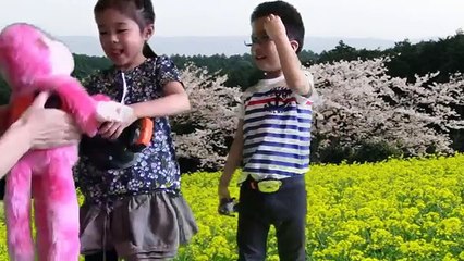 HERO Kamen-Rider Ghost & Power Ranger Zyuohger