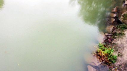 Everyone is Beautiful!