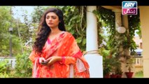 Haal-e-Dil Ep 45 - on Ary Zindagi in High Quality 22nd November 2016
