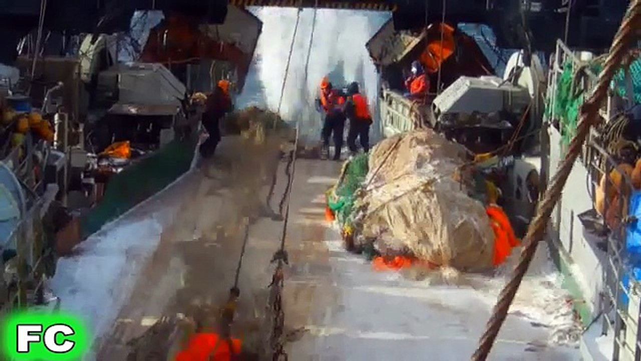 Best FAILS & Funny Videos ★ November 2016 Compilation ★ FailCity (67)