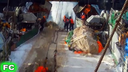 Best FAILS & Funny Videos ★ November 2016 Compilation ★ FailCity (67)