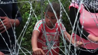 Refugees trapped in Serbia attempt to storm Hungarian border – video