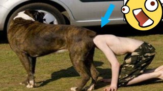 Funny moments 2016 Highly Misleading Photos That Will Make You Look Twice