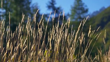 180 Metre Yükseklikteki Barajın Tepesinden Atılan Dünya Rekoru Basket