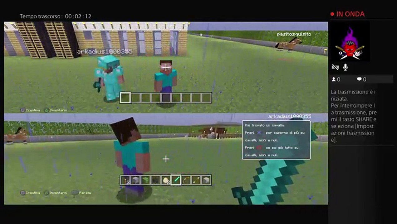 Minecraft con il nostro compagno (29)