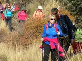 Salida_20112016 (Rio Anchuelo - Acequia Real - Paterna del Río)