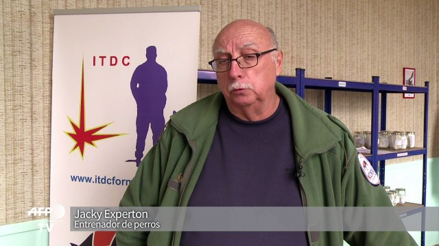 Perros detectores del cáncer de mama