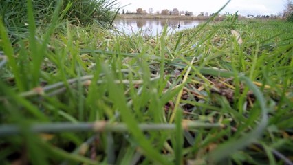 rencontre pecheur en loire(blade chroma 4K)