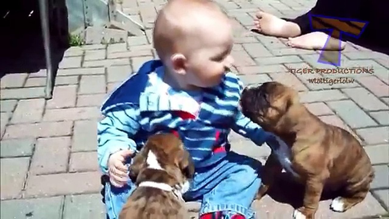 Funny babies annoying dogs - Cute dog & baby compilation