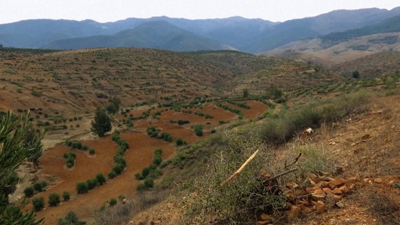 Klima: Nachhaltige Initiativen auf Marokkos Feldern