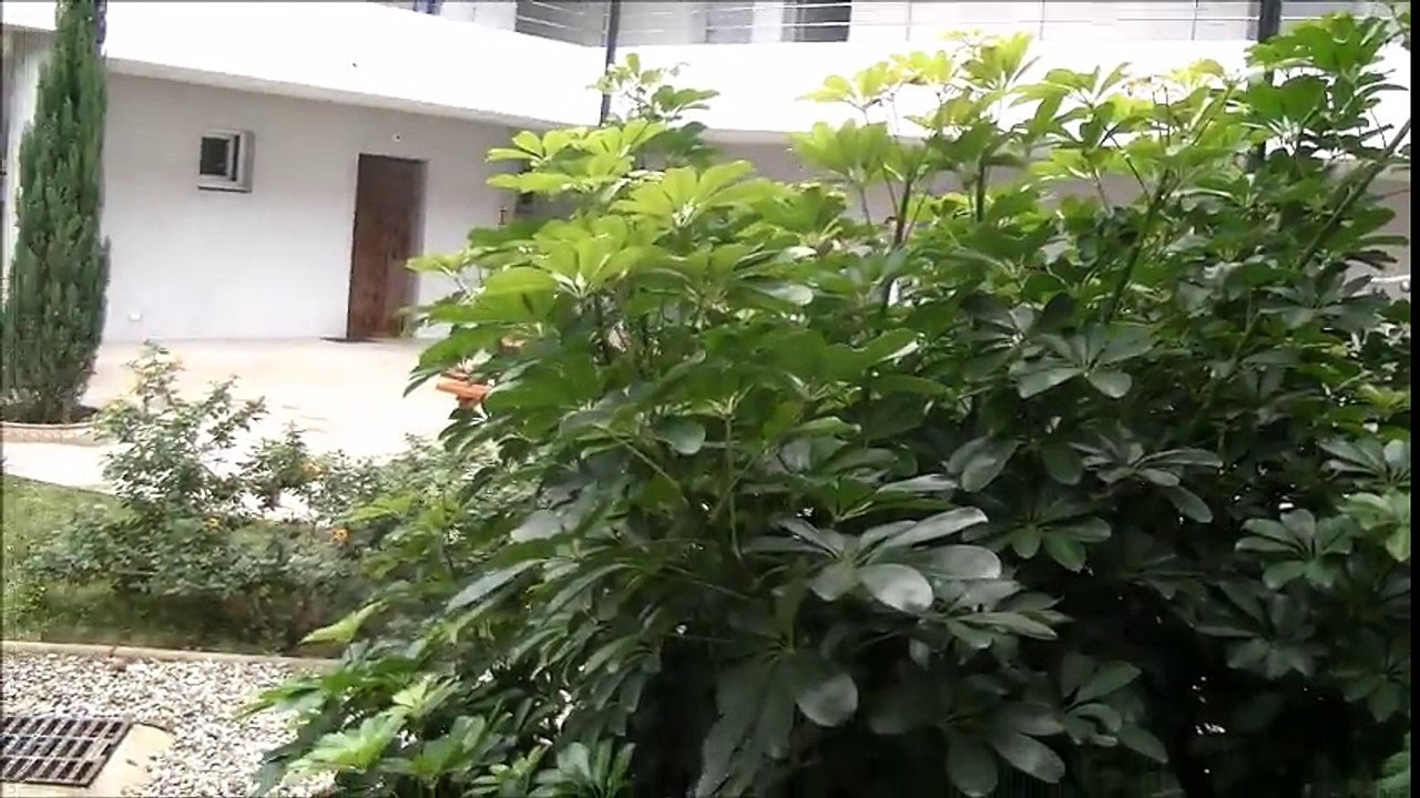 Furiani : inauguration de 7 « maisons relais »