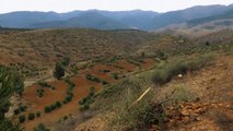 Maroc : développement rural et création de coopératives