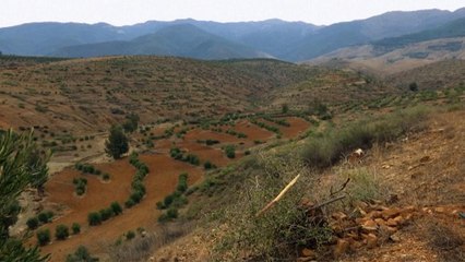 Maroc : développement rural et création de coopératives