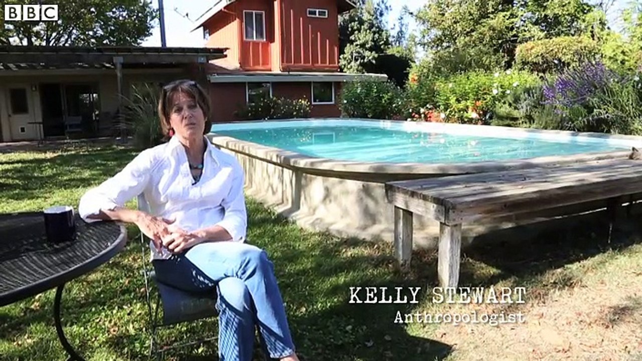 Dian Fossey- The woman who lived with gorillas - BBC News