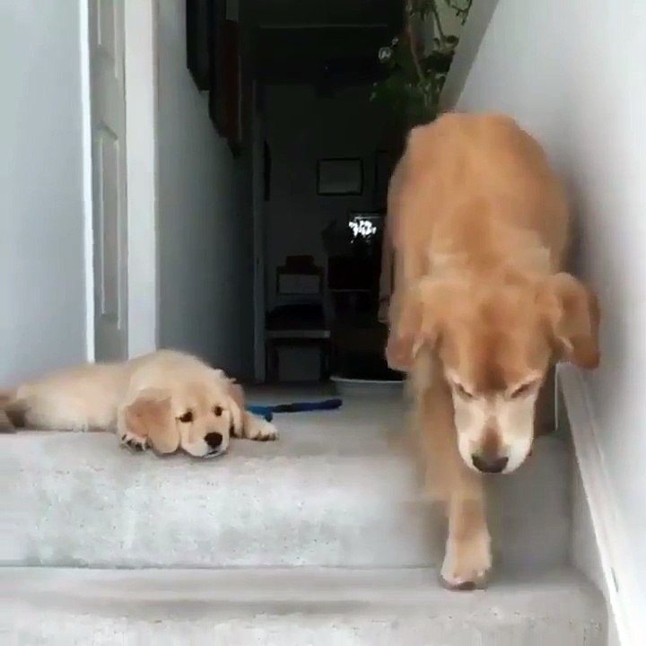 Wait ... how did he do that?