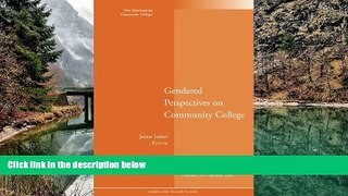 Big Sales  Gendered Perspectives on Community College: New Directions for Community Colleges,