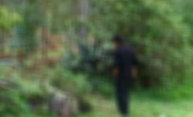 Cuatro suicidios en un día en Quito