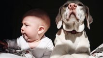 This Adorable Baby is an Animal Whisperer