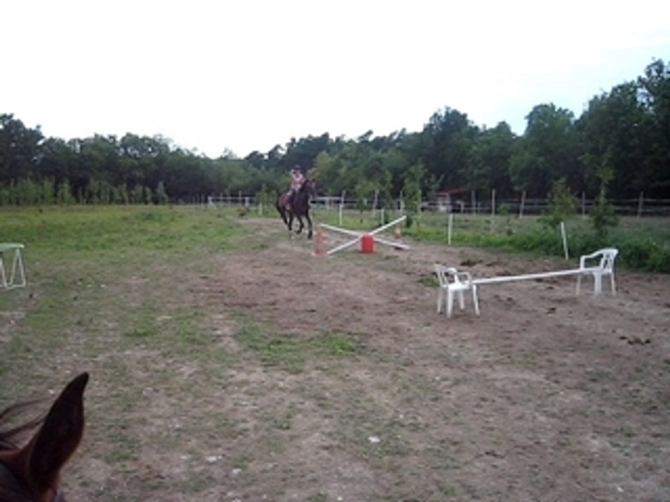 MVI_0486