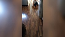Fat Baby Girl Butt Slides Across The Floor And Sings Video