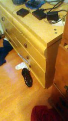 Trolls The Series Announcement