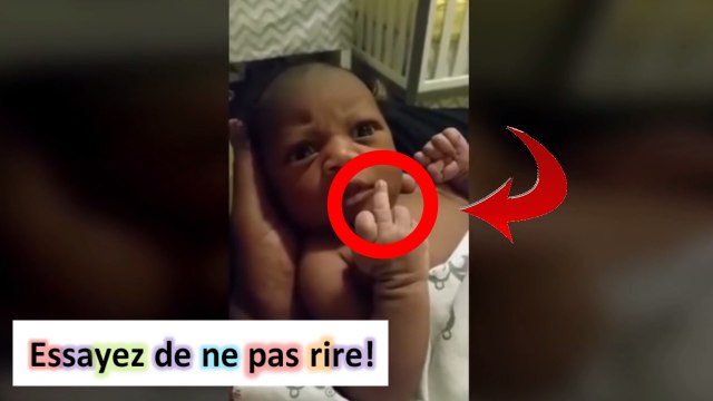 Compilation Des Plus Gros Rates Et Chutes Essayez De Ne Pas Rire Nouveau 73 Les Videos Les Plus Droles Essayez De Ne Pas Rire Compilations Videos Droles Video Dailymotion
