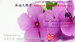 Origin of Chinese Characters - 2320 瓣 bàn petal, clove, valve - Learn Chinese with Flash Cards