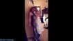 Bella Thorne | January 10th 2016 | Full Snapchat Story | ft Kylie Jenner