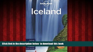 liberty books  Lonely Planet Iceland (Travel Guide) BOOOK ONLINE