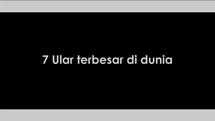 7 Ular Terbesar di Dunia yang Pernah Hidup