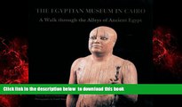 liberty books  Egyptian Museum In Cairo: A Walk Through the Alleys of Ancient Egypt BOOK ONLINE