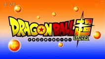 Dragon Ball Super Episode 66 Preview - Vegito vs Zamasu