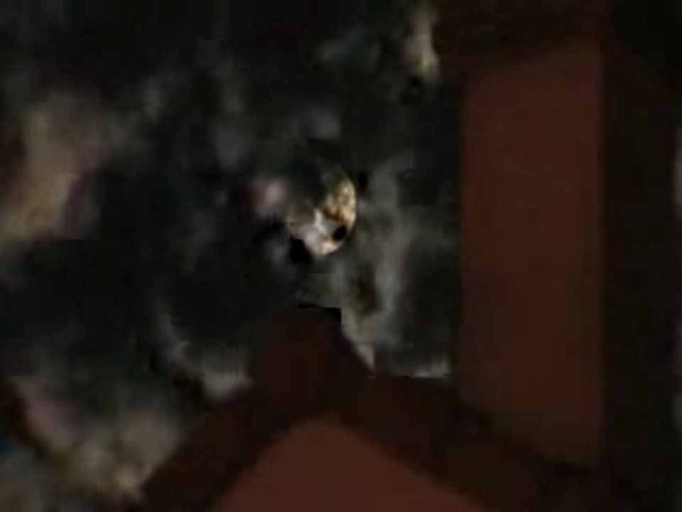 Fabi