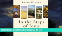 Read book  In the Steps of Jesus: An Illustrated Guide to the Places of the Holy Land BOOOK ONLINE