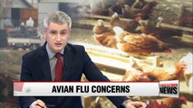 Gyeonggi chicken farm raises concerns about highly pathogenic bird flu strain