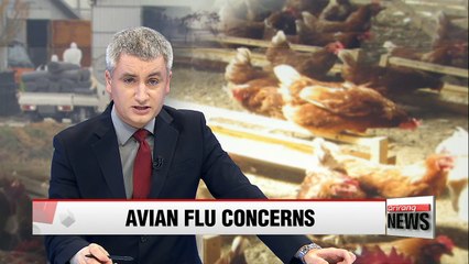 Gyeonggi chicken farm raises concerns about highly pathogenic bird flu strain