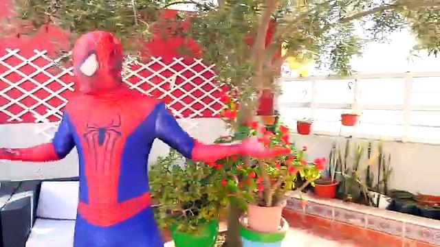 Spiderman & Frozen Elsa contra joker louco com Dardos Filme engraçado de Super-heróis na vida real