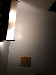 Boys Owens in Doce Cut