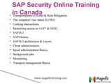 SAP SECURITY ONLINE TRAINING IN REAL TIME EXPERTS