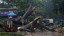 طوفان اوتو سه نفر را در پاناما کشت