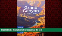 liberty books  Lonely Planet Grand Canyon National Park (Travel Guide) BOOOK ONLINE