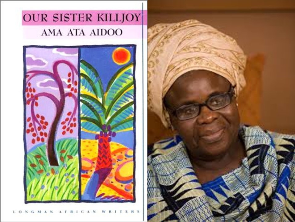 Novels Plot  Summary 211: Our Sister Killjoy