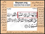 Quran in urdu Surah 003 Ayat 102 Learn Quran translation in Urdu Easy Quran Learning