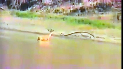 -BOS News.com - زندگی اور موت صرف اللّه کے ہاتھ میں ہے ۔ یہ... - Facebook--fbdown.net