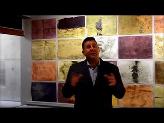 Robert Shemin - Project X