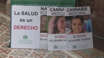Argentina debate uso terapéutico de aceite de marihuana